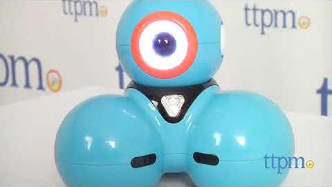 Dash Robot from Wonder Workshop