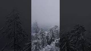 #muree #snowfall #shorts #mureesnowfall