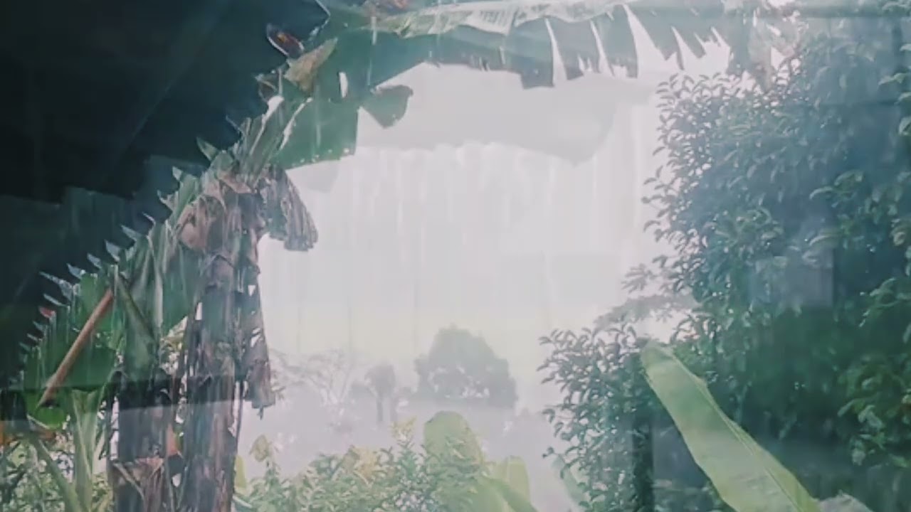 Listen to the rainy sound and sleep well