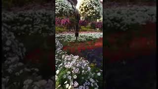 Chox Gozeldi Menzere Duzdu Kimle Gezmek Isderdiz Burda?