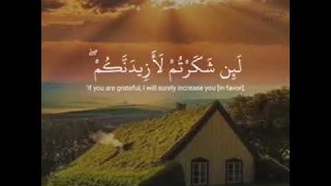 🍀حالات واتس اب 🌼🍀القارئ عمر الدريويز 🍀🌼🌹