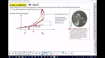 AP Calculus - Euler