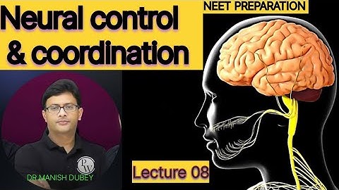 Lec. 08 neural control & coordination by Dr Manish Dubey sir #neet #biology #pw #physicswallah#video
