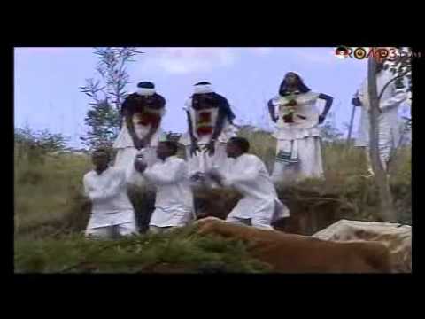 Amin Husen   Baalen bua Oromo Music