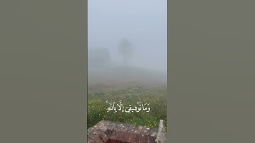 وَمَا تَوْفِيقِي إِلَّا بِاللَّهِ عَلَيْهِ تَوَكَّلْتُ وَإِلَيْهِ أُنِيبُ #مشاري_العفاسي #سورة_هود