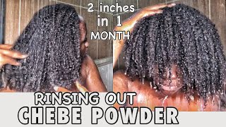 I LEFT CHEBE POWDER AND KARKAR OIL IN MY HAIR FOR 1 MONTH AND THEN RINSED IT OUT! THIS HAPPENED!