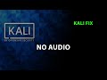 KALI FIX No Audio Audio Issues