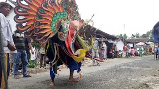 TARI BARONG BANYUWANGI KENDALI PUTIH LIVE PAKEL