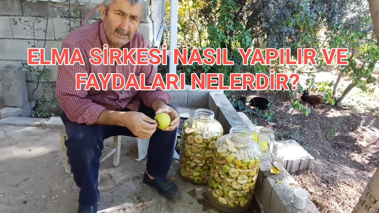 ELMA SİRKESİ NASIL YAPILIR ve FAYDALARI NELERDİR? #elma #elmasirkes #sirke i 