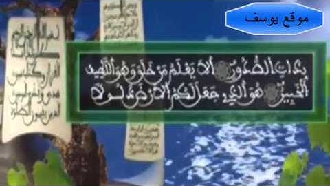 سورة الملك الشيخ خليل الديدي