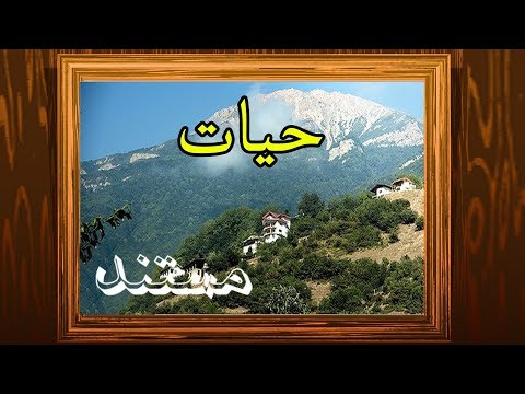 تصویری: سه هدف جنگلداری اجتماعی چیست؟