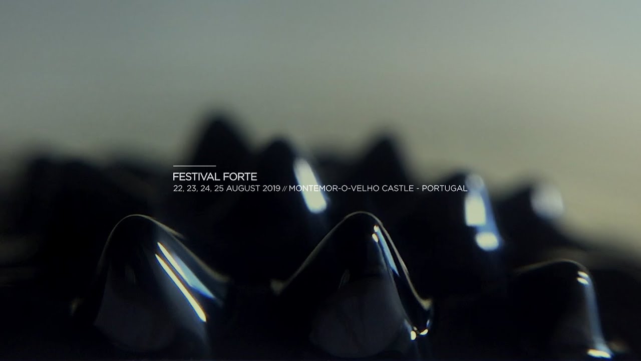 electronic music universe Magnafields // Festival Forte 2019
