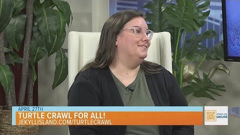 Jekyll Island: Turtle Crawl for All!