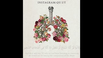 سورة الملك (ايه 10-13) بصوت #فاتح_سافرجيك