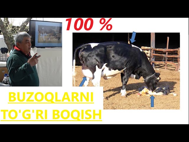 Nina Usatova porno Rus retro porno onlayn tomosha qiling