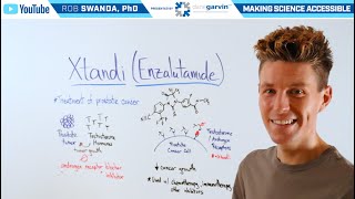 Celebrity How does Xtandi (Enzalutamide) Work for Prostate Cancer? Wealth