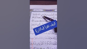 سورة النمل #تلاوتك #المصحف #om_khadega