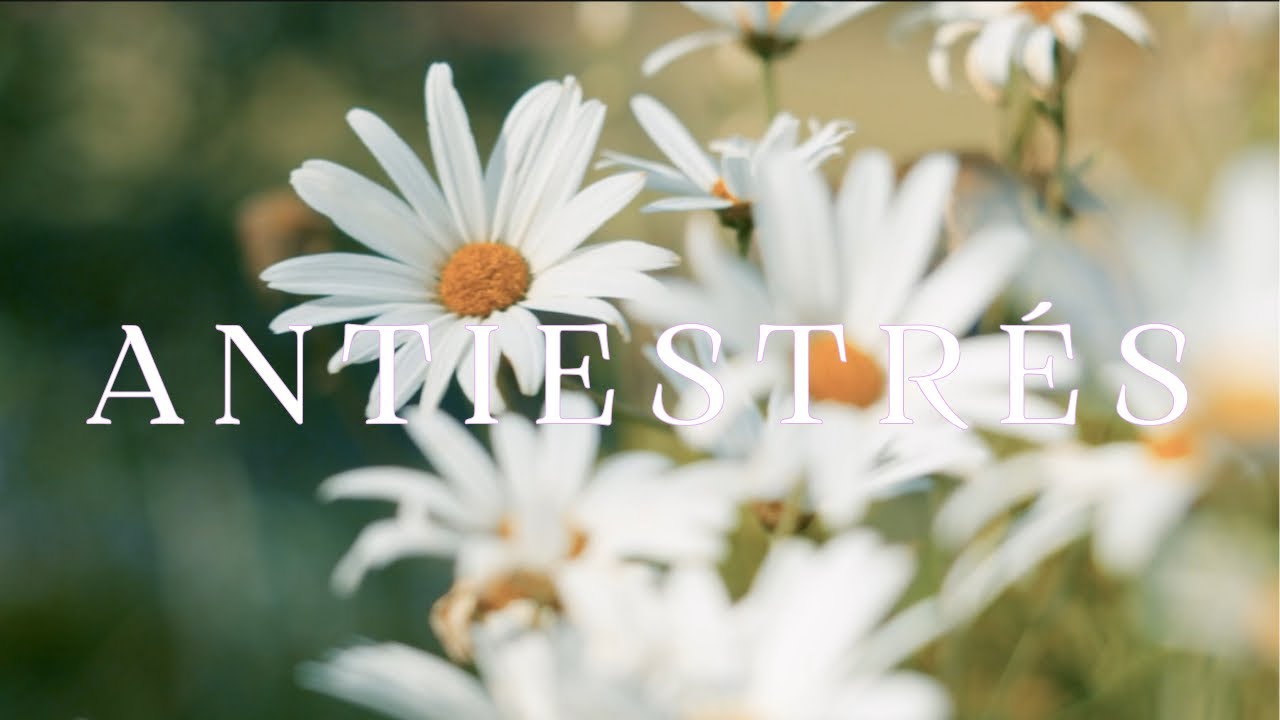 ANTIESTRÉS 🤍 Música Relajante para Calmar la Mente y Reducir la Ansiedad