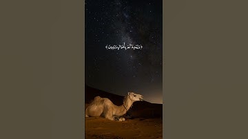 #اسلام_صبحي |قرآن كريم 🤍🎧|