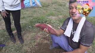 レンタル農園～紅はるか収穫編～【ながら倶楽部】