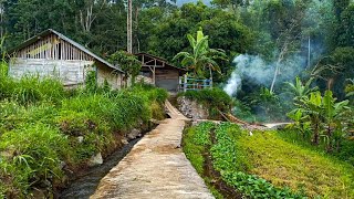 Bikin Merinding‼️..Berani Tinggal Sendirian di Rumah Kaki Gunung dengan Nuansa Sejuk dan Nyaman!!