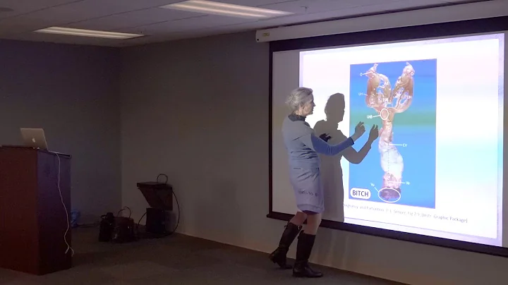 Optimal Breeding Timing of Canines | A Seminar by ...