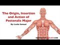 082 the origin insertion and action of pectoralis major