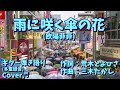 【No135】雨に咲く傘の花 (欧陽菲菲) ギター弾き語り Cover♬【多重録音】