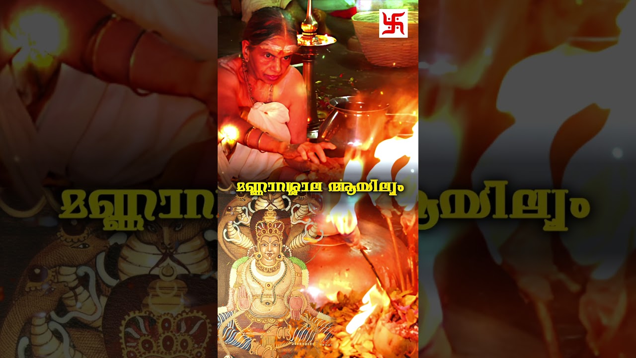 മണ്ണാറശാല ആയില്യം തൊഴുതാൽ സന്താനഭാഗ്യം ലഭിക്കും | Mannarasala Ayilyam 2025 | Nagaraja 