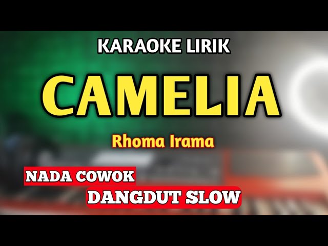 CAMELIA 1 KARAOKE DANGDUT RHOMA IRAMA - VERSI GERRY MAHESA class=