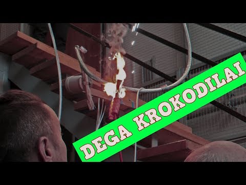 Dega krokodilai / GD TV
