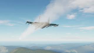 idiots learn SU33