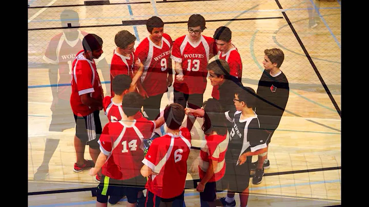 Volleyball 2015 with music