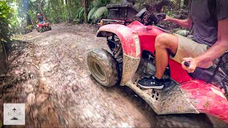 Things You Have to Do in the Rainforest of Cairns, Australia