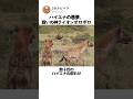 ハイエナの悪夢、戦いの神ライオンオロボロ