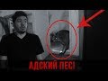 Вызов Духов - Адский пес / Он Пришел по Наши Души! Опасно!