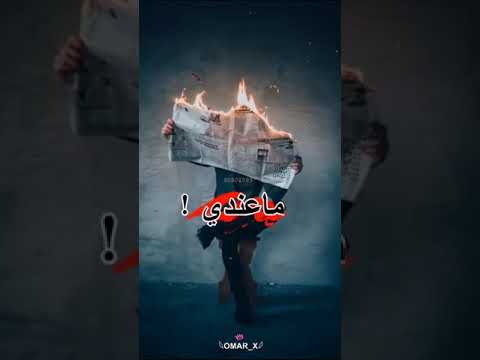 اغنية رضا العالم بدو مصاري