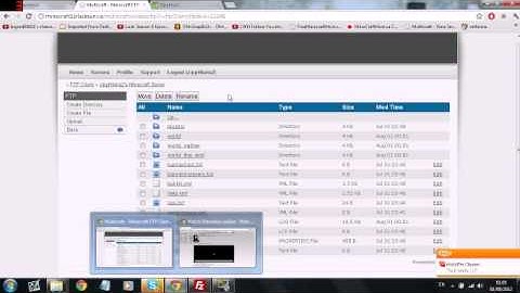 Free Vps (Free minecraft server hosting) ZippHosting