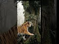 The Last Sanctuary: Can Humanity Survive?