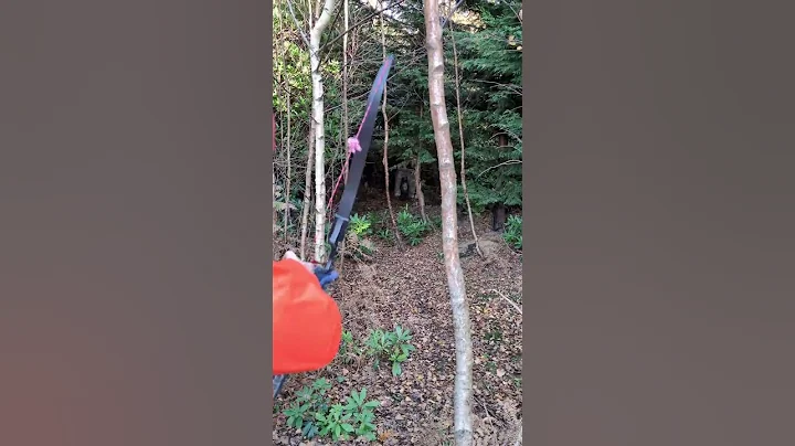 Standing Bear 3d Archery Target - Shocq Contender Rig.