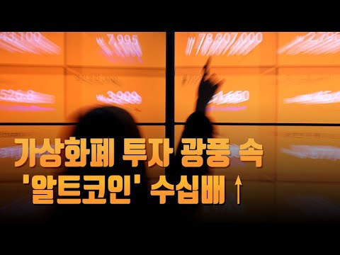   가상화폐 광풍 속 알트코인 수십배 2030의 슬픈 투기 뉴스9