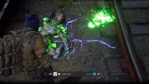 Predator executions & self destruct