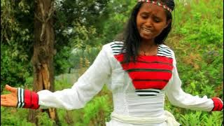 Shaggar keessan ola |Ariitii tube| New Oromoo Music 2023, |Feeneet Qalbessa|.
