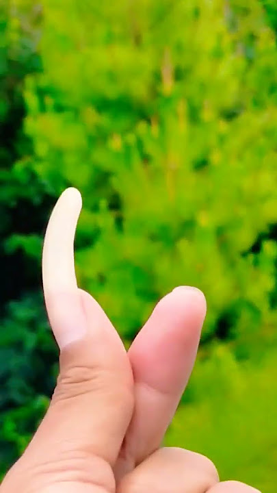 Penak E dadi tiang bodo... 🤭 Ra kakean Miker Ita itu loosss...pokok e #viral #shortsviral #religion
