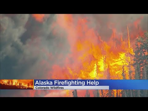 Fire Crews From