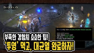 소소한 팁! 투영먹고 경험치 보너스 받자! [디아블로3 시즌21 악마사냥꾼]