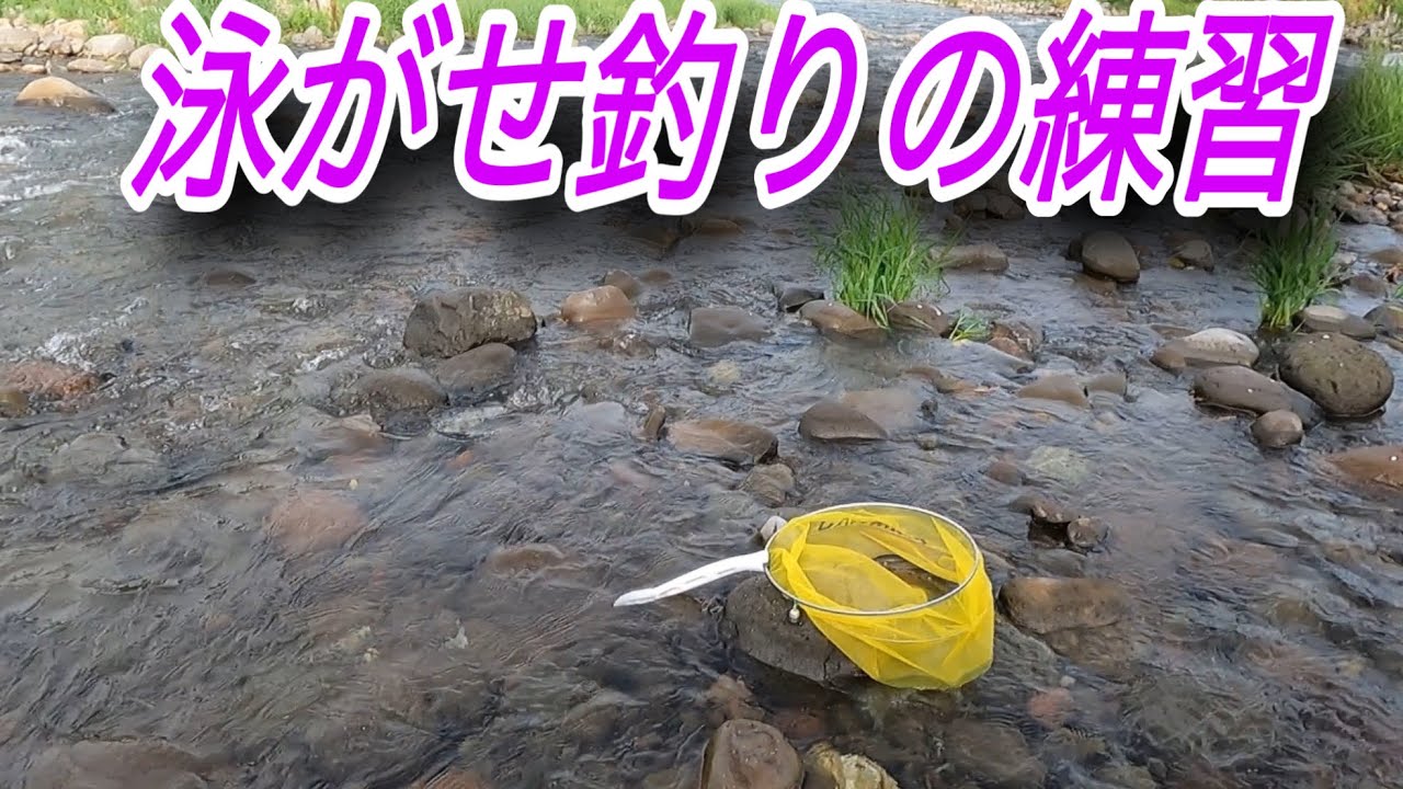 泳がせの練習