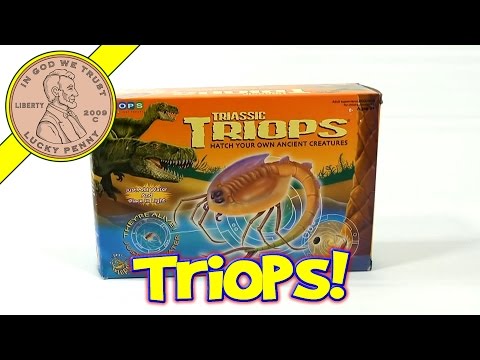 Triassic Triops Hatch Your Own Ancient Creatures Kit, by Toyops (Day 1)