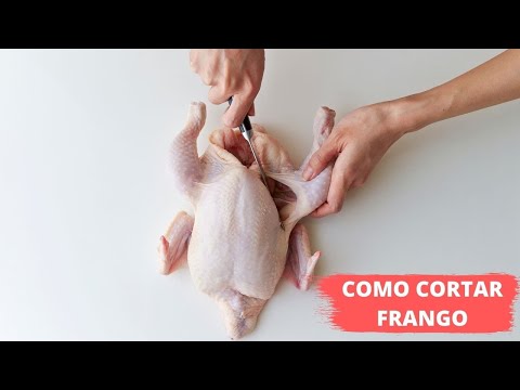 Vídeo: Como cuidar do frango?