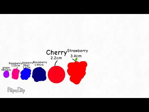 Fruit size comparison/Shorts